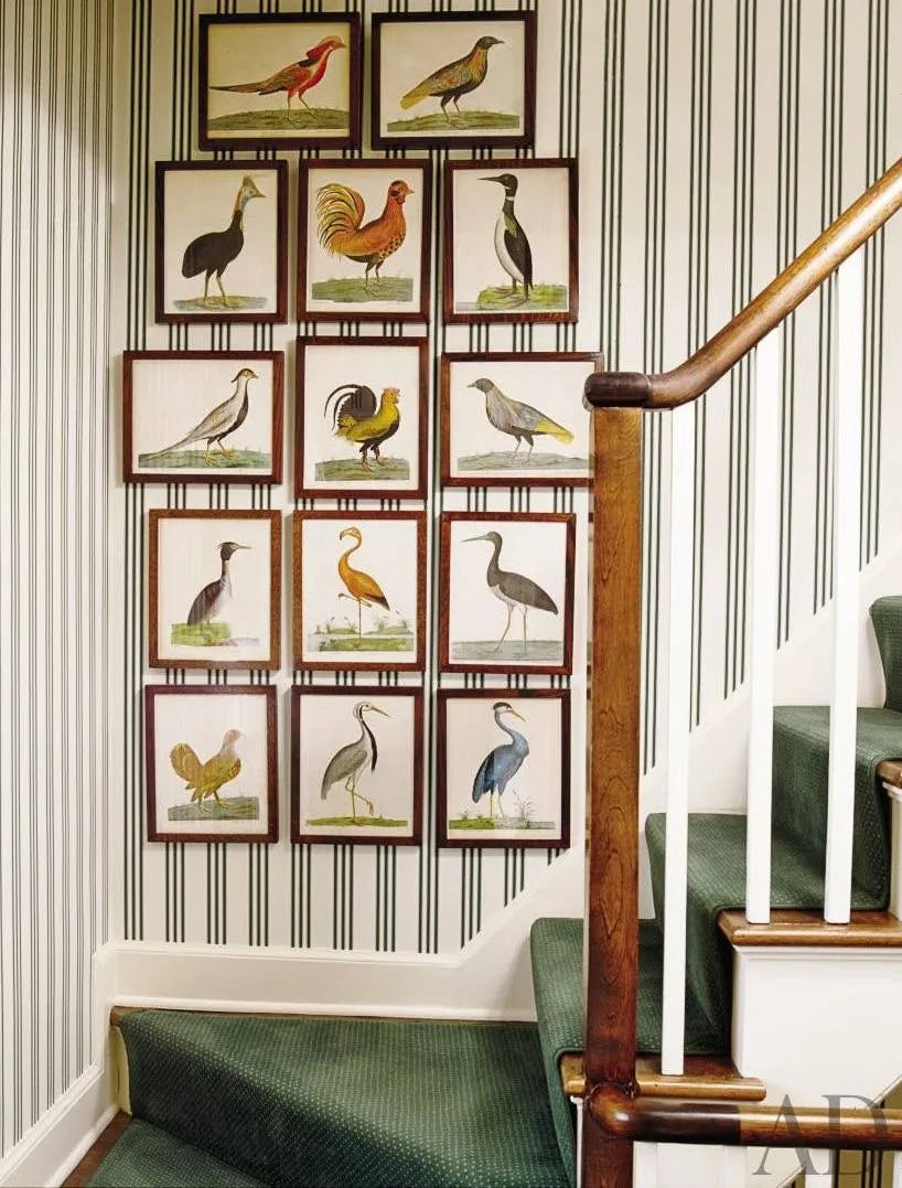 winder stairs,Early-18th-century bird engravings line a wall alongside the rear stair of a New Canaan, Connecticut, home